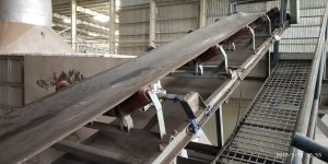 Conveyor belt weighing system
